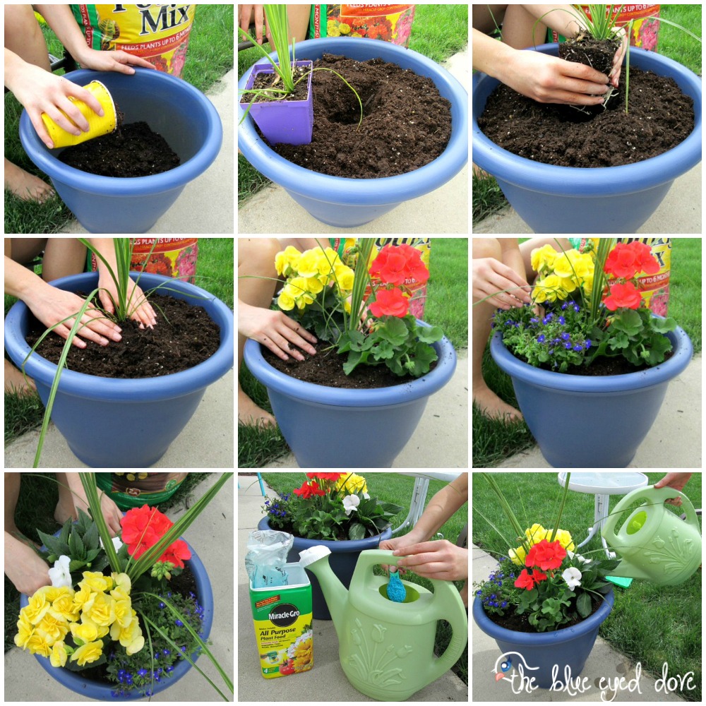 DIY Planted Flower Pots