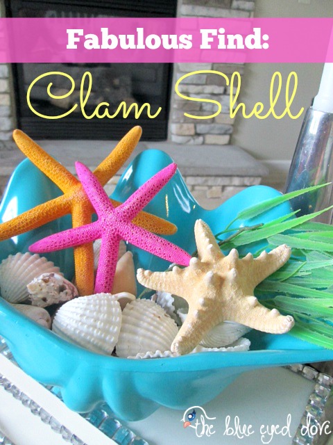 Clam Shell Fabulous Find