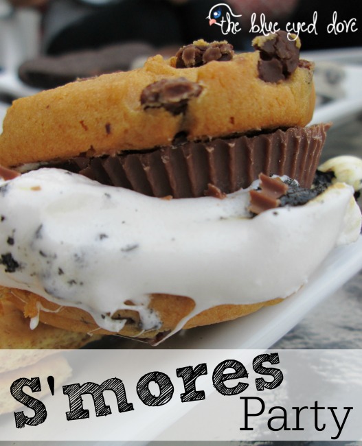 S'mores Party