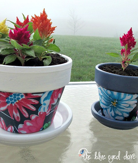 DIY Flower Pots